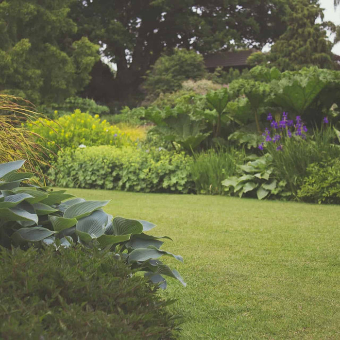 Lawn-Care Tips for Summer
