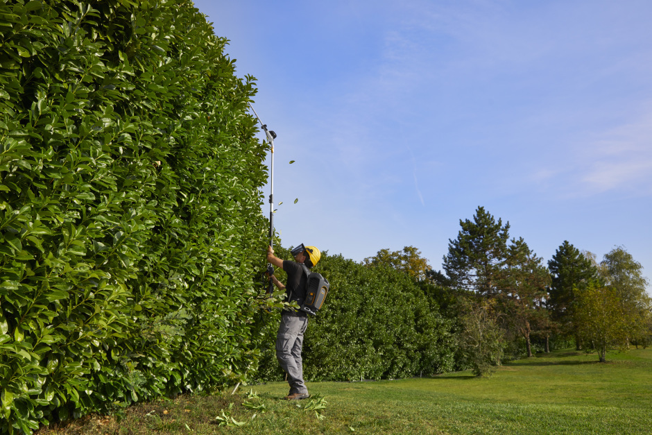 Stiga SPH 900 AE 48v Cordless Long-Reach Hedgetrimmer - In Use Trimming Sides of Tall Hedge.