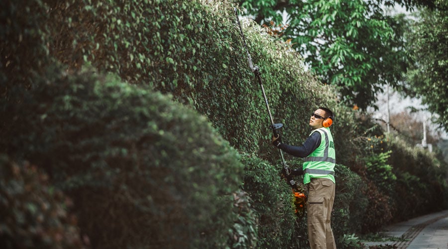 Echo HCA-265ES-HD Long-Reach Petrol Hedgetrimmer