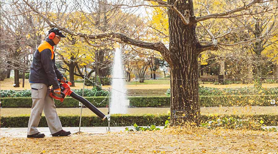 Echo PB-2620 Handheld Petrol Leaf-Blower
