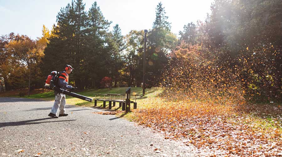 Echo PB-8010 Backpack Blower