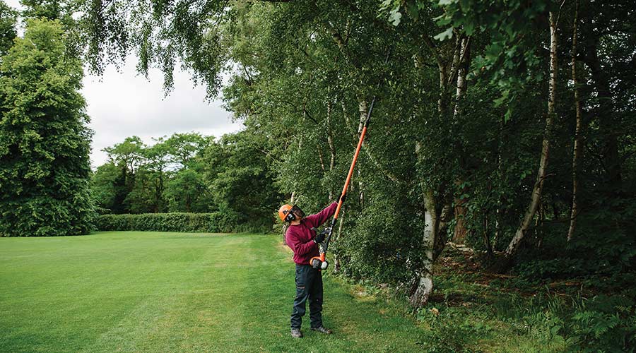 Echo PPT-2620HES Power Pruner