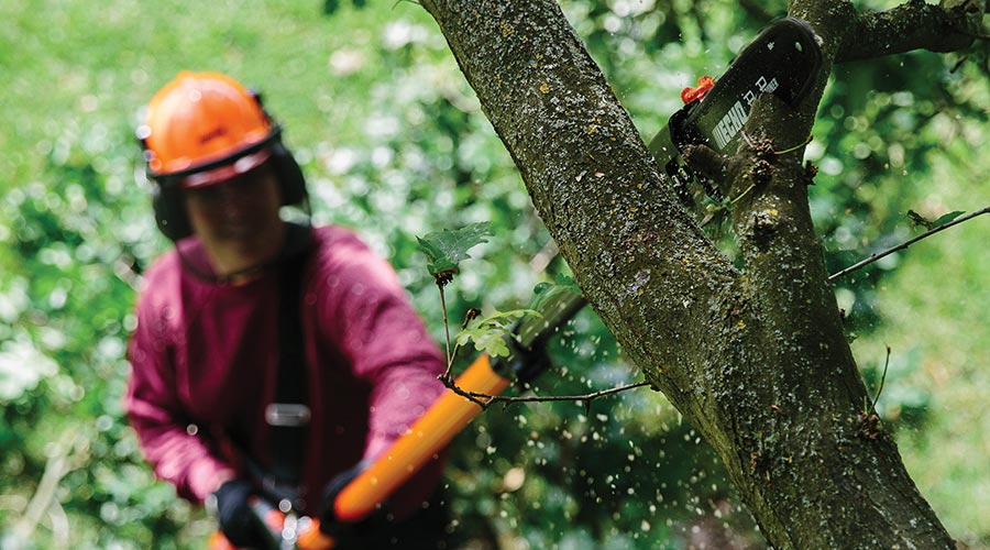 Echo PPT-2620HES Power Pruner