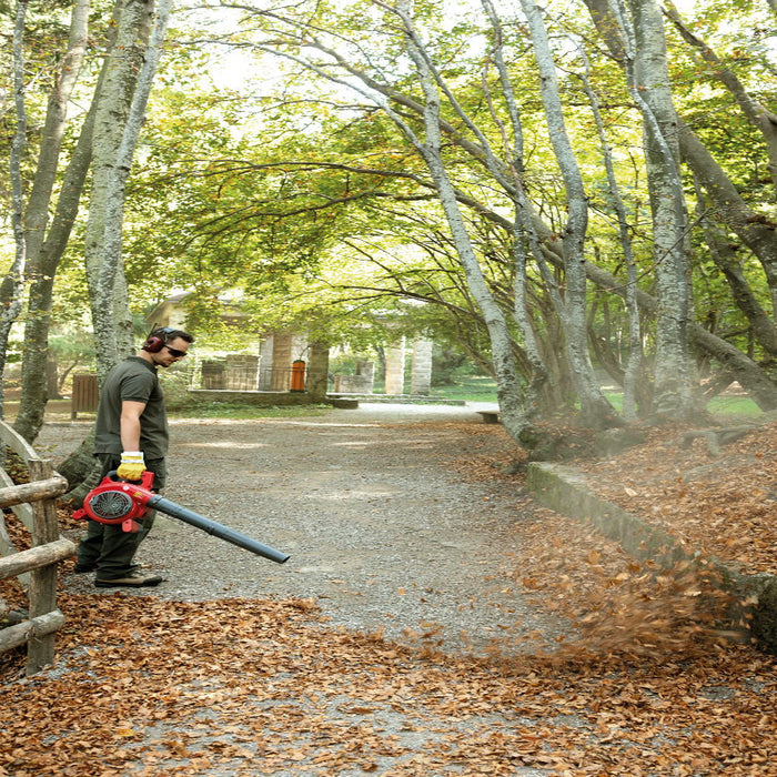 Efco SA2500 Handheld Petrol Blower