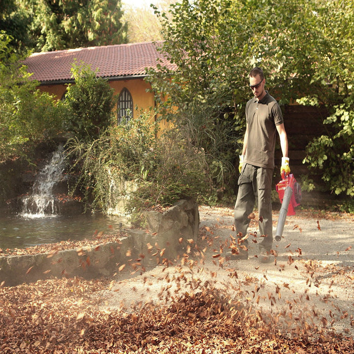 Efco SA2500 Handheld Petrol Blower