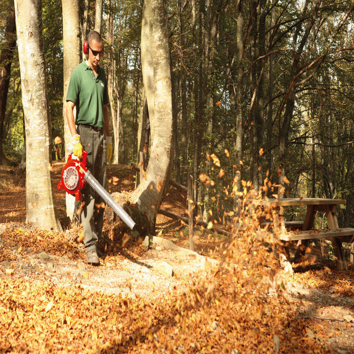 Efco SA2500 Handheld Petrol Blower