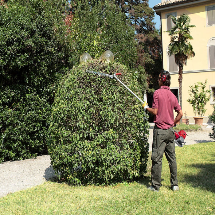 Efco DS2410-H Long-Reach Petrol Hedgetrimmer (50cm Blades)