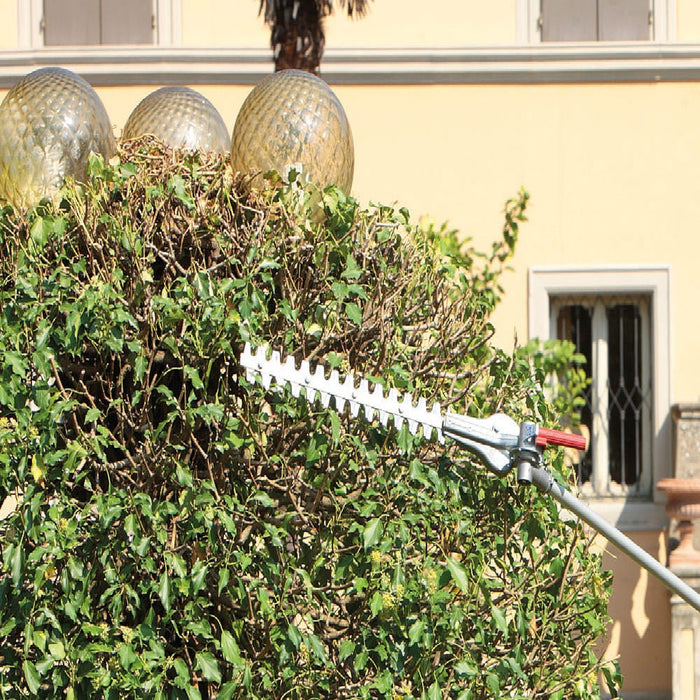 Efco DS2410-H Long-Reach Petrol Hedgetrimmer (50cm Blades)