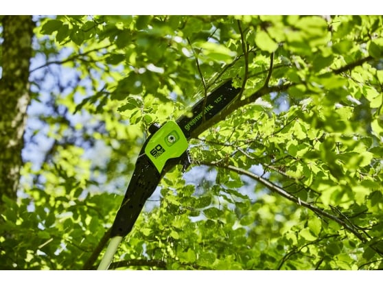 Greenworks GD60PS25 60v DigiPro Cordless Pole-Pruner – 25cm Guide Bar (Tool Only)