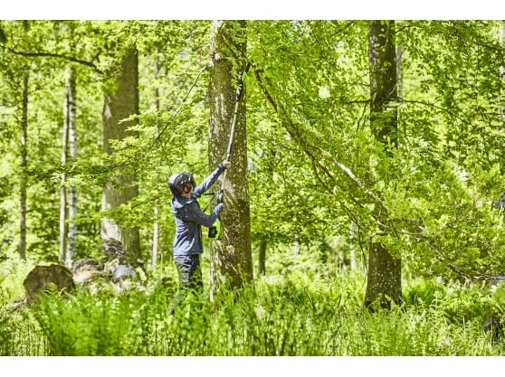 Greenworks GD60PS25 60v DigiPro Cordless Pole-Pruner – 25cm Guide Bar (Tool Only)