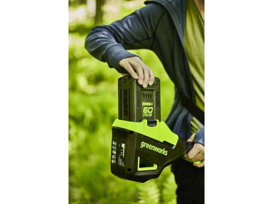Greenworks GD60PS25 60v DigiPro Cordless Pole-Pruner – 25cm Guide Bar (Tool Only)