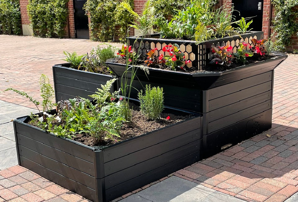 BioScapes BioCube® Multi-Habitat Planter