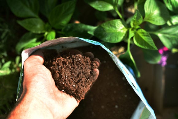 BioScapes NatureArk® Multi-Habitat Planter