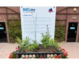 BioScapes BioCube® Display Board